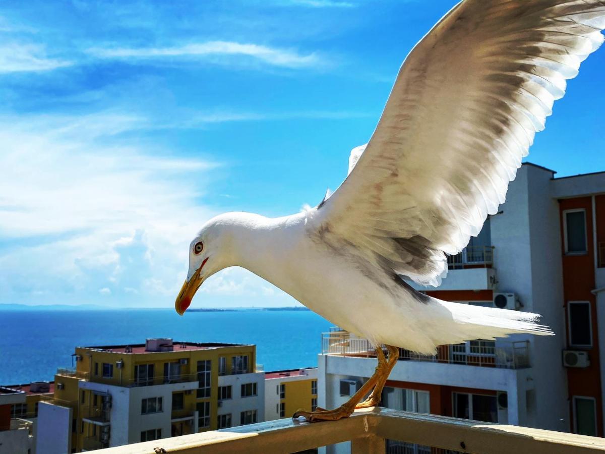 Sea View Panoramic Apartments, Fort Noks Crown Club Sweti Wlas Exterior foto
